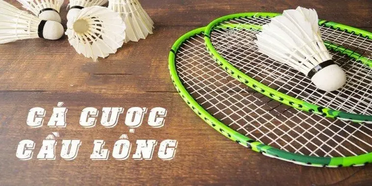 Thắng Lớn Với Cá Cược Cầu Lông King88 Hôm Nay 2 Thắng Lớn Với Cá Cược Cầu Lông King88 Hôm Nay