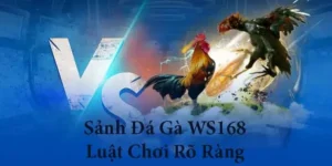 Trải Nghiệm Đá Gà WS168 King88 Thắng Lớn Ngay Hôm Nay