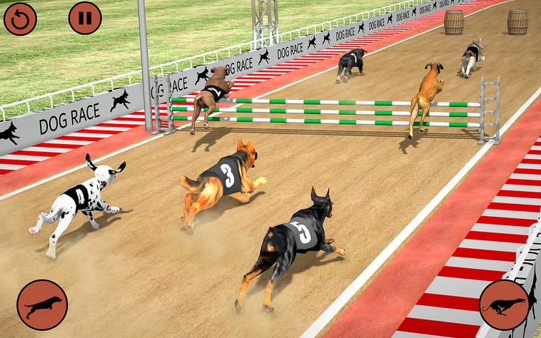 Thắng Đậm Với Game Nhanh Đua Chó Tại King88 Ngay Hôm Nay 2 Thắng Đậm Với Game Nhanh Đua Chó Tại King88 Ngay Hôm Nay